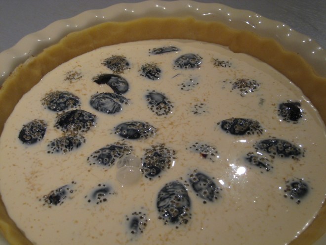 chocolate, plum and frangipane pie