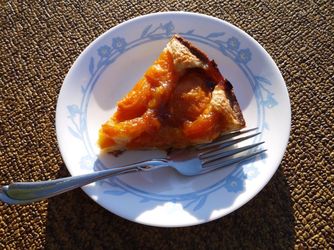 apricot almond cake slice - trust in kim