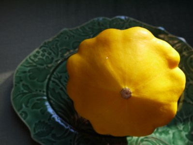 pattypan squash - trust in kim