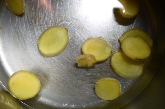 ginger - trust in kim