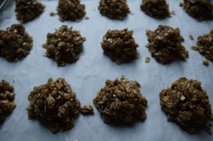 raw oat cookies - trust in kim