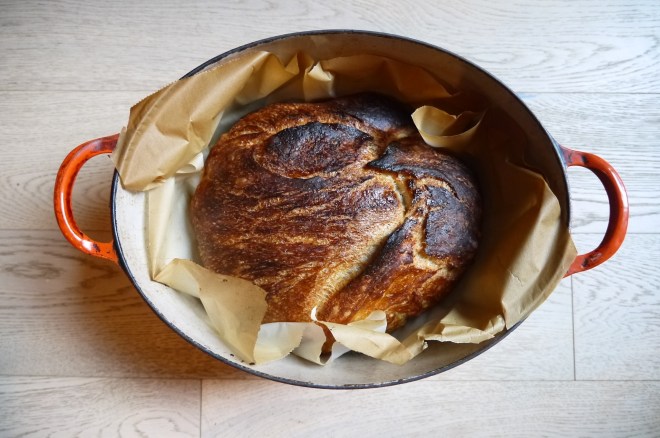 crusty no-knead bread - trustinkim