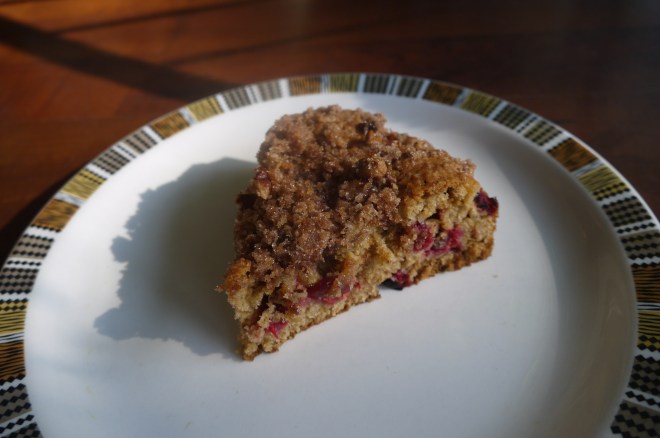 cranberry coffee cake - trustinkim