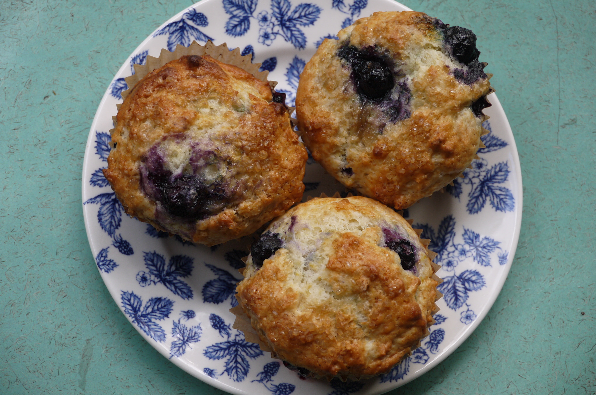 blueberry muffins - trustinkim.com